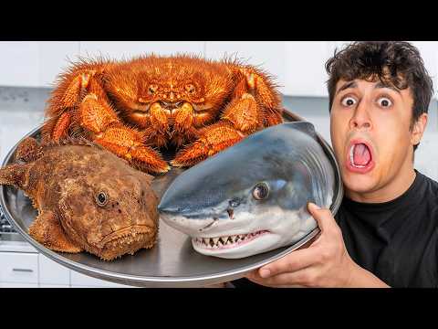 I Cooked Every Exotic Ocean Animal! 