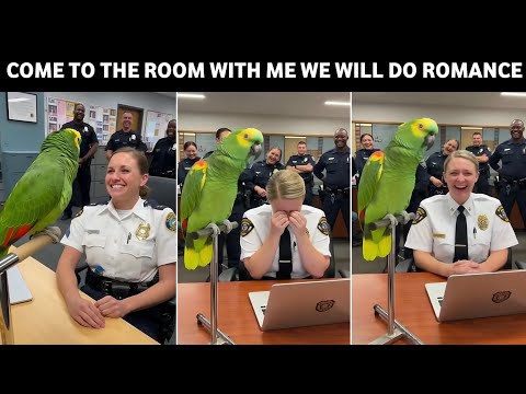 🦜Officer Miller You're Beautiful | Come To The Room With Me We Will Do Romance😂 | Funny Conversation