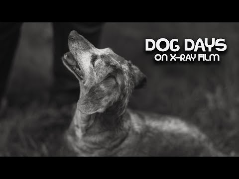 8x10" X-Ray Film, Mail Time, and 4x5" Polaroids - Large Format Friday