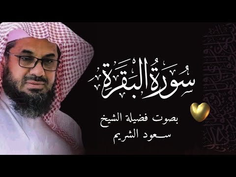 سورة البقرة كاملة بدون اعلانات فضيلة الشيخ سعود الشريم surah baqarah saud shuraim
