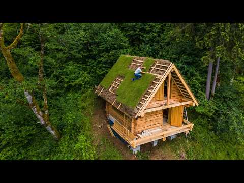 Building a Cabin in Harsh Wilderness | How Far Can Humans Go?