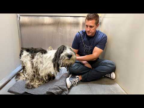 Watch the moment she’s told she’s a GOOD GIRL for the FIRST Time Ever 🥹