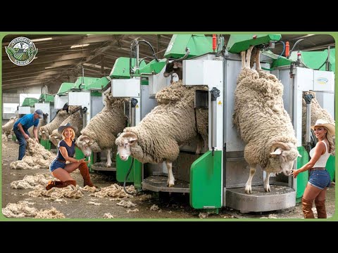 How Farmers Make Millions of Dollars With These Modern Machines Ingenious Farm Inventions ▶2