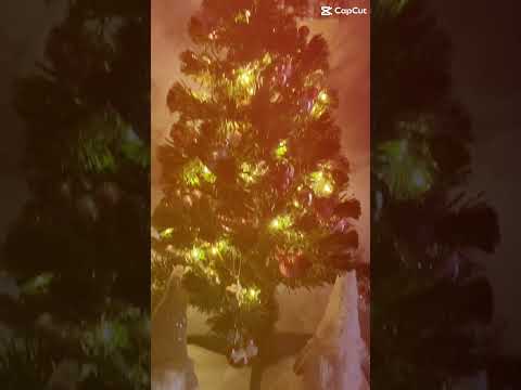 My baby Christmas tree !!!! 🎄