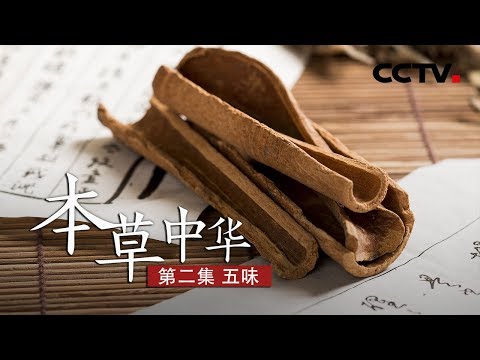 《本草中华》第二集 五味 | CCTV纪录