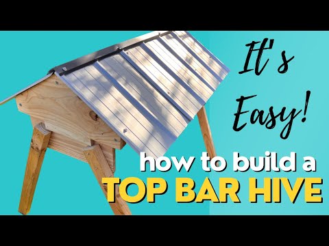 DIY! How to Build a Top Bar Beehive! With NO PLANS! | #Aussiebeekeeping #topbarhive | 3-10-22