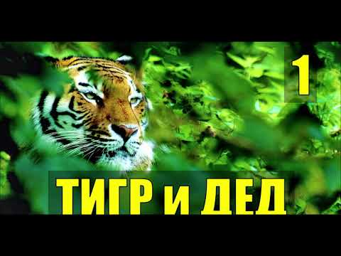ТИГР и ДЕД СТО ЛЕТ СУДЬБА ЧЕЛОВЕКА ИЗ ЖИЗНИ В ТАЙГЕ ДОБЫЧА ЛОВУШКА ОХОТНИКИ В ЛЕСУ 1