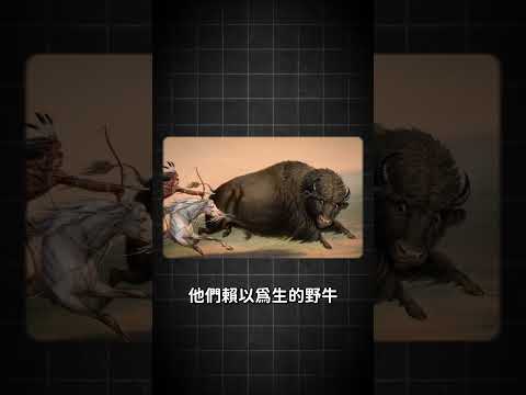 牠挖坑讓生態循環