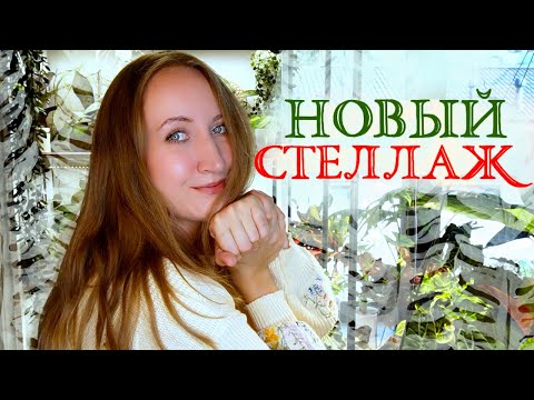 Новый СТЕЛЛАЖ для растений: переделываю большую зону 💚Часть 1