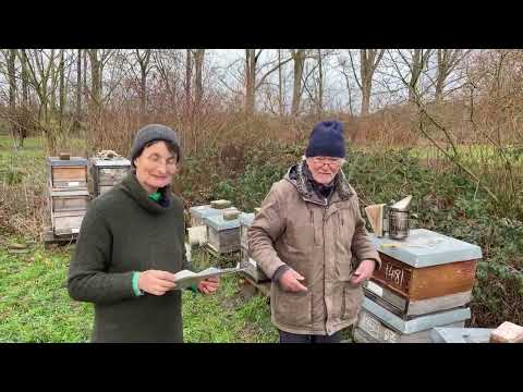 Live von Pias Bienenstand - 19.12. - Vereinigungsausgabe