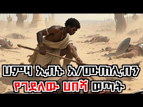 ሀምዛ ኢብኑ አ/ሙጠሊብ የገደለው ሀበሻ ወጣት 😱 | አስደናቂ ታሪክ | wedud tube 