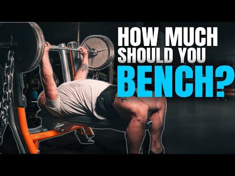 How Much Should The Average Man Bench?