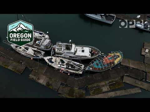 Oregon’s Abandoned Boats: A Growing Crisis on Our Rivers | Oregon Field Guide