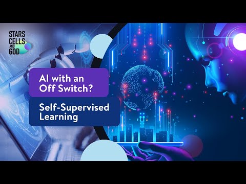 AI with an Off Switch? and Self-Supervised Learning | Stars, Cells, and God