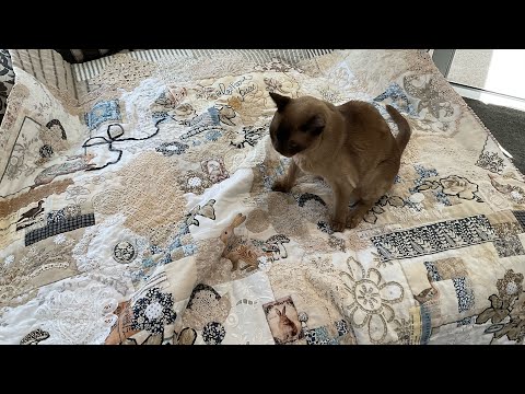 Part 21 Vol 8 Gathered Things (Finishing) #quiltedhearts  #roxyjournalofstitchery #slowstitch 