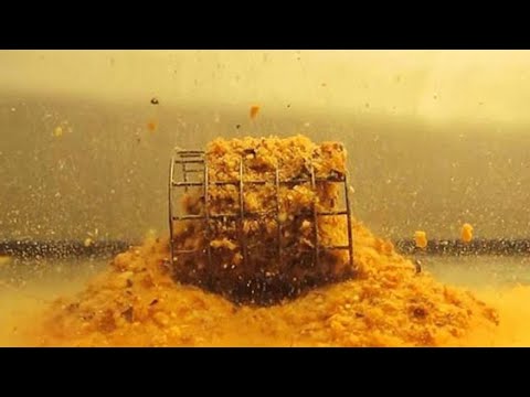 Как варить ПШЕНО ДЛЯ РЫБАЛКИ НА ФИДЕР!