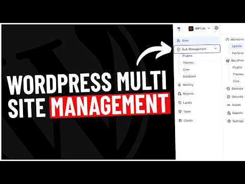 How to Streamline WordPress Maintenance - WP Umbrella Walkthrough
