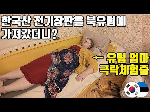 체감 영하 20도 서울 사는 딸이 가져온 전기장판에 녹아내린 북유럽 엄마ㅋㅋ