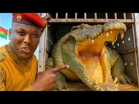 Why This Country Worships Crocodiles? TheUntold Story of Burkina Faso under Traore