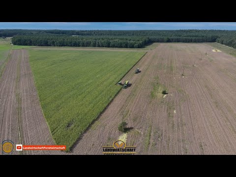 Das Dreieck schaffen wir in 1,3 Stunden oder? Köhl Harvest 1/20 Häckselketten 42.000T ha Maisernte