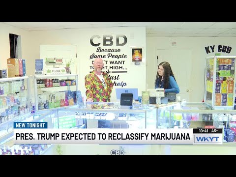 Trump considers marijuana rescheduling executive order, KY advocates weigh in