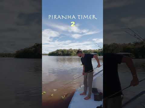 Ever wonder what would happen if you fell into the water in the Amazon?