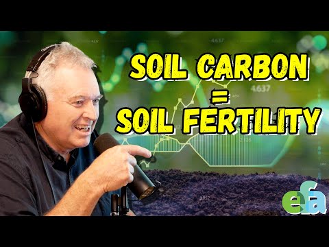 The Carbon Trap: Why Pasture Renewal Is Costing You More Than You Think