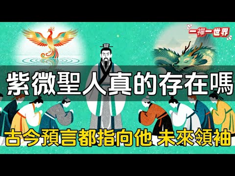 紫微聖人真的存在嗎？古今預言都指向他──未來的精神領袖最全解析！#一禪一故事#禪 #佛 #道 #禪定 #悟道