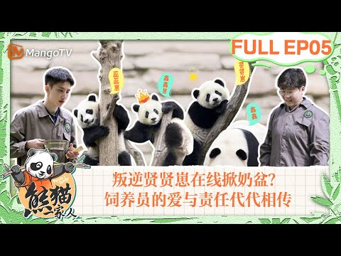 MULTI SUB｜叛逆贤贤崽在线掀奶盆？饲养员子承父业，对熊猫的爱与责任代代相传｜《熊猫一家人Panda‘s Family》｜EP05｜MangoTV