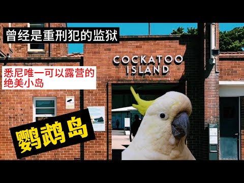 揭秘悉尼隐藏的秘境 鹦鹉岛走遍悉尼系列三，悉尼隐藏的秘境 ， 罪恶与荣耀并存的地方 鹦鹉岛