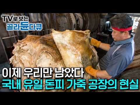 세계 5대 생산국으로 호황을 누렸던 우리나라의 ‘가죽 산업’, 가죽 가공 마지막 세대 찾아가 봤더니｜마지막 남은 국내 유일의 돈피 가공 공장｜100610 방송｜극한직업｜#골라듄다큐