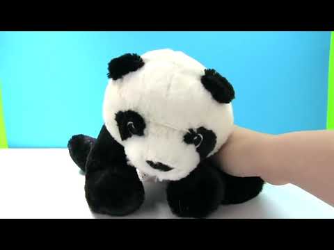 Fizzy Plays With Different Animals Of The Alphabet