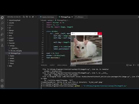Problems with Pyinstaller & and Common Fixes
