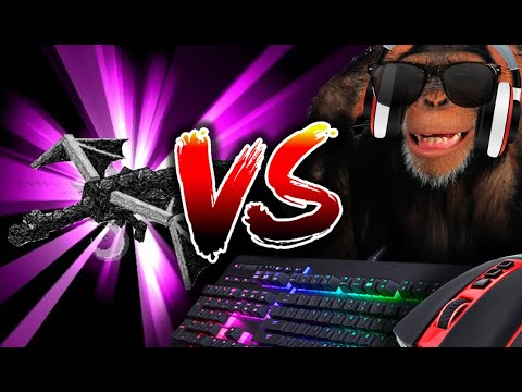 Can A Monkey Beat Minecraft? (SCIENTIFIC ANALYSIS)