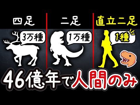 【異常】直立二足歩行の生物が人間しかいない特殊な理由【小学生でもわかる】