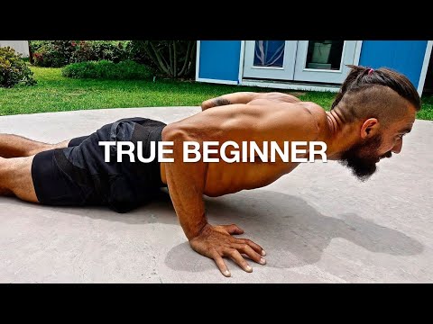 Full Body Workout NO GYM *BEGINNERS FOLLOW ALONG*