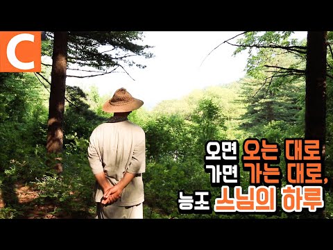 오지의 스님이 '잘 먹고 사는 법', 오면 오는 대로 가면 가는 대로🌳