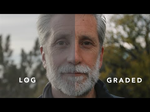 DJI D-Log and D-Log M Color Grading - EVERYTHING You Need to Know!