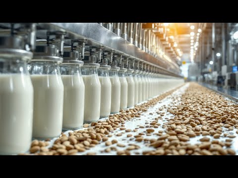 From Almonds to Milk: Full Factory Process Revealed! 🥛🌰
