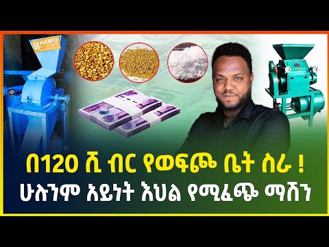 በ120 ሺ ብር የወፍጮ ቤት ስራ ! ሁሉንም አይነት እህል የሚፈጭ ማሽን | small business ideas in Ethiopia | gebeya business