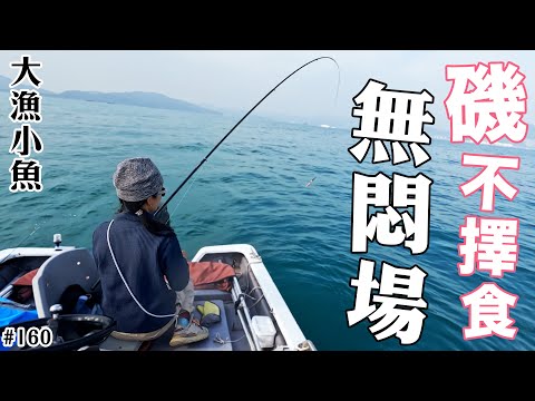 北風收了馬上去釣魚,一開始便不停手無悶場 ┃大漁小魚#160┃CC中文字幕