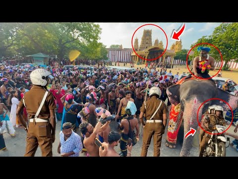 திடீரென நல்லூர் முன்றில் நடந்த பிரம்மாண்டம் ! யானையை சூழ்ந்த பல்லாயிரம் மக்கள் | GL Tharshan 
