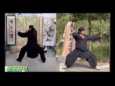 太乙游龍拳正反面.戴師嗣