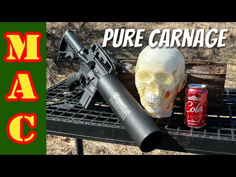 Human Head vs. Can Cannon - and Less Lethal 12ga loads!