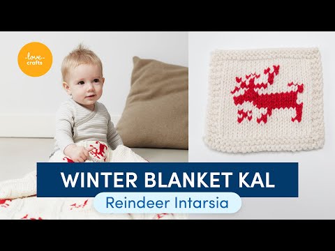 Debbie Bliss Winter Blanket KAL | Part Five: Reindeer Intarsia