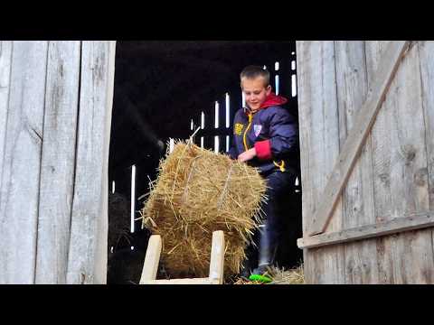 U ove ruke dok ne pljuneš, nećeš ništa imati