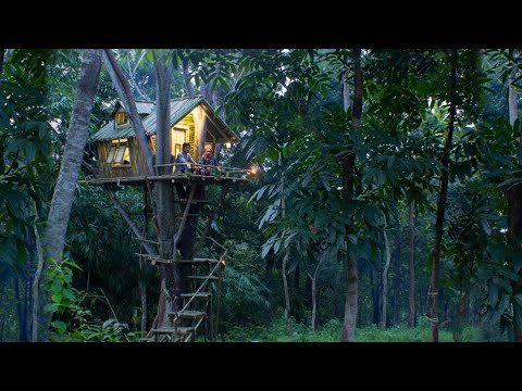 Membuat Rumah Pohon dalam hutan, Tidur Paling Nyaman Di dalam Rumah Di atas Pohon