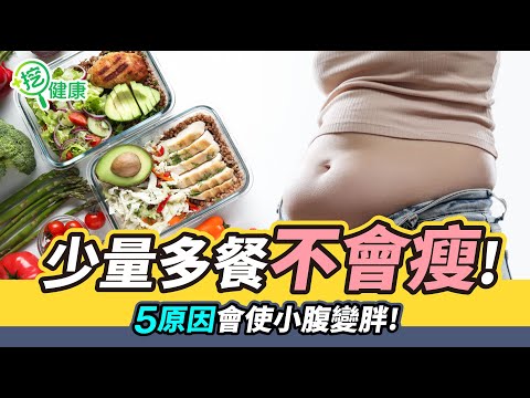 少量多餐不會瘦！5原因會使小腹變胖！【挖健康 精華】#韋汝 #曾嶔元 #少量多餐 #小腹變胖