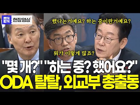 "했다는 거? 하고 있다는 거?" "몇 개? 얼마?" ODA 탈탈 ,외교부 총출동...아슬아슬