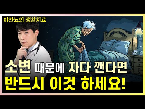 [야간뇨] 소변이 마려워서 밤에 자주 깬다면 반드시! 이것하세요 l 야간뇨의 생활 치료 l 닥터딩요